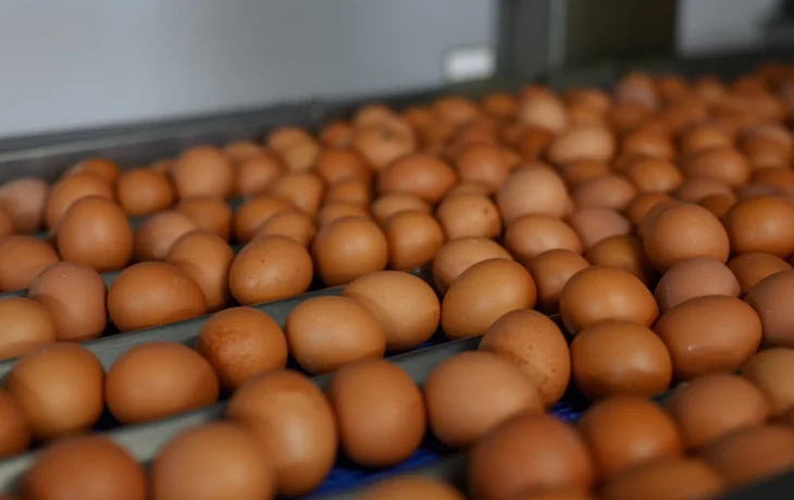 Снижение НДС: влияние на бюджет и обсуждение расширения списка товаров