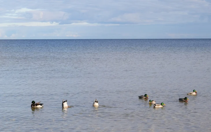 Рекордная температура в Латвии: +13,6 градусов в Колке Рекордная температура в Латвии: +13,6 градусов в Колке